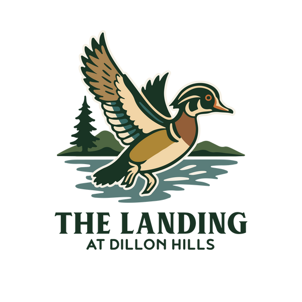 The Landing